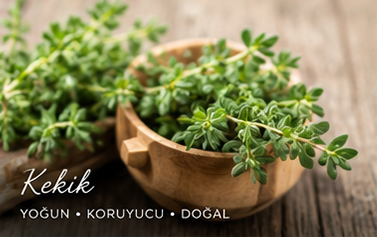 Kekik