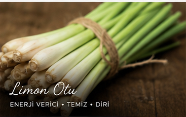 Limon Otu